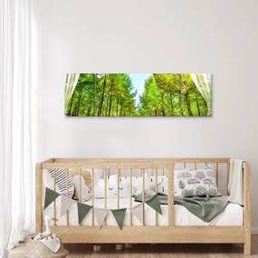 Obraz - Widok na las (170x50 cm)