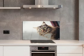 Panel Szklany Majestatyczny Maine Coon
