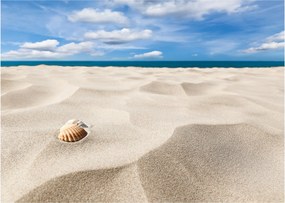 Obraz - Muszle na plaży (70x50 cm)
