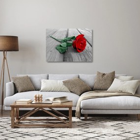Obraz na szkle - Czerwona róża z zieloną łodygą (70x50 cm)