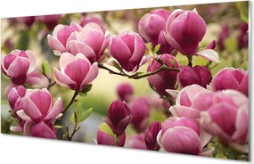 Panel Kuchenny Szklany Kwitnące Drzewa Owocowe