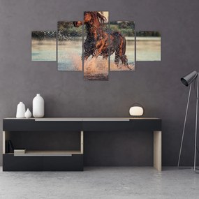 Obraz - Biegnący koń (125x70 cm)
