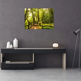 Obraz na szkle omszałej dżungli (70x50 cm)