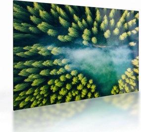 Obraz na szkle - Las spowity mgłą (70x50 cm)