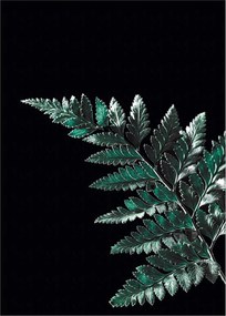 Plakat Dark Fern Leaf