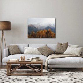 Obraz - Widok na grzbiety górskie (70x50 cm)