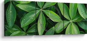 Obraz - Liście z kroplami rosy (z zegarem) (90x30 cm)