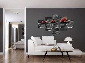 Obraz - Słonecznik, czarno-biały (125x70 cm)