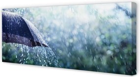 Zdjęcie na płótnie Deszczowe Krople na Parasolu
