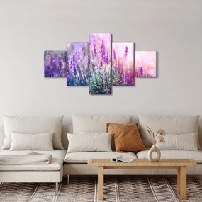 Obraz - Lawenda w słońcu (125x70 cm)