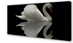 Obraz na płótnie Łabędź w Nocnej Scenerii