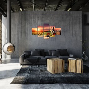 Obraz winnicy z winem (125x70 cm)