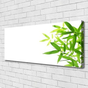 Obraz canvas na ścianę Tekstura Zielonego Liścia