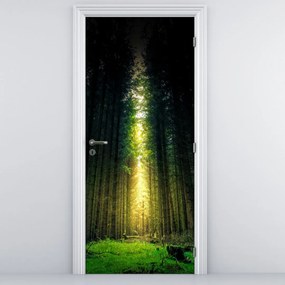 Fototapeta na drzwi - Ciemny las (95x205cm)