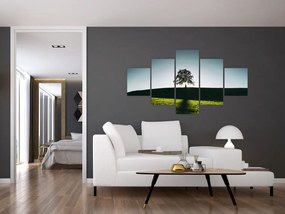 Obraz natury - drzewo (125x70 cm)