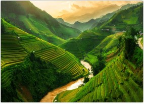 Obraz na szkle - Tarasy ryżowe Mu Cang Chai (70x50 cm)