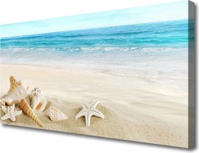 Zdjęcie na płótnie Nadmorskie Skarby Oceanu