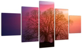 Obraz drzew we mgle (125x70 cm)