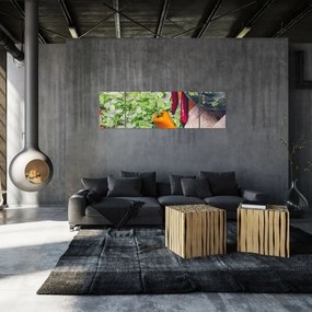 Obraz warzyw (170x50 cm)