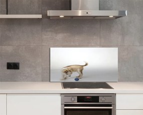 Panel szklany do Kuchni Radosna Zabawa Psa