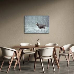 Obraz - Łoś w śnieżnym lesie (70x50 cm)