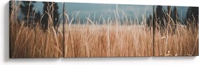 Obraz - szczegół łąki (170x50 cm)