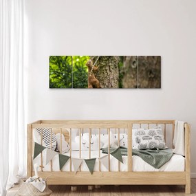 Obraz - wiewiórka (170x50 cm)