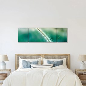 Obraz źdźbła trawy (170x50 cm)