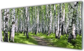 Panel Kuchenny Ścieżka Przez Słoneczny Las