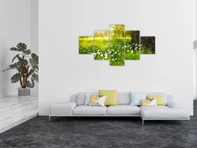 Obraz polany i kwiatów (125x70 cm)