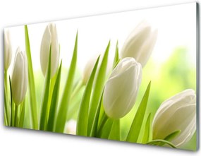 Panel Kuchenny Tęczowy Dywan Tulipanów