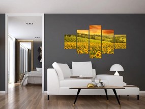 Obraz - Pole słoneczników (125x70 cm)