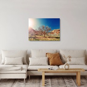 Obraz na szkle drzewa na pustyni (70x50 cm)