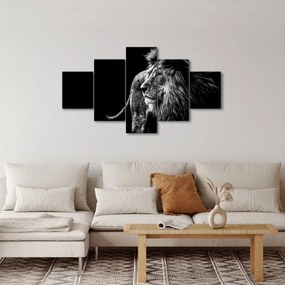 Obraz - Lew, czarno-biały (125x70 cm)