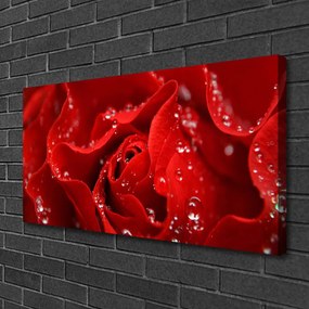 Fotoobraz na płótnie Dzika Róża w Rozkwicie