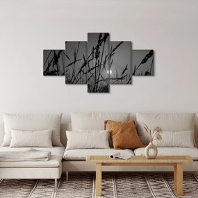 Obraz - Łąka z zachodem słońca (125x70 cm)
