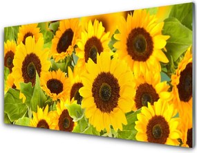 Panel Szklany do Kuchni Radosne Słoneczniki