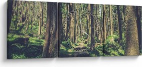 Obraz ścieżki pomiędzy drzewami (z zegarem) (90x30 cm)