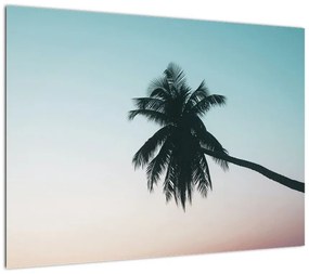 Obraz - Palma na Bali (70x50 cm)