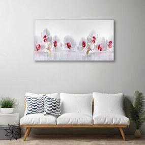 Obraz na płótnie Świeżość Kwiatów Polnych