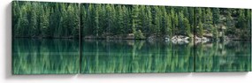 Obraz - drzewa iglaste nad jeziorem (170x50 cm)
