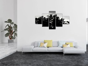 Obraz czarno - biały - palmy (125x70 cm)