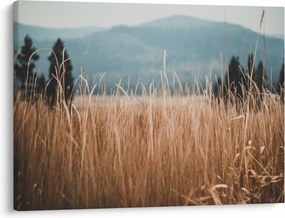Obraz - szczegół łąki (70x50 cm)