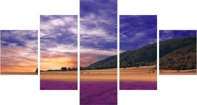 Obraz lawendowej łąki (125x70 cm)
