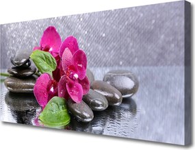 Obraz drukowany na płótnie Malarska Wizja Storczyka