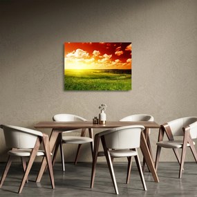 Obraz na szkle łąki ze świecącym słońcem (70x50 cm)