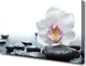 Obraz canvas Malarska Interpretacja Storczyka