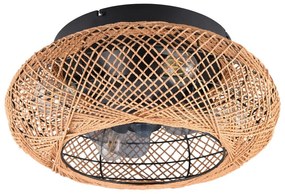 Brązowa lampa sufitowa ze zdalnym sterowaniem/z wentylatorem Lillesand – Trio
