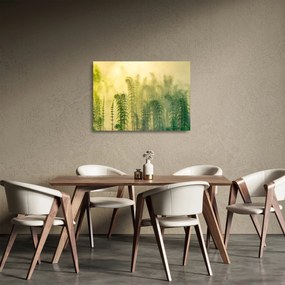 Obraz na szkle - Szczegół wiosennej mglistej przyrody (70x50 cm)