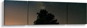 Obraz nocnego nieba z drzewami (170x50 cm)
